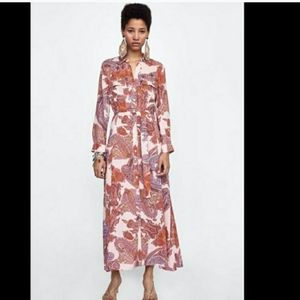COPY - Zara paisley print maxi dress
